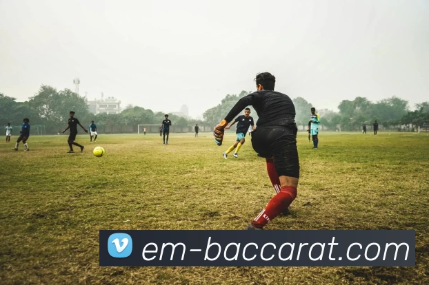 百家乐官网平台生态图